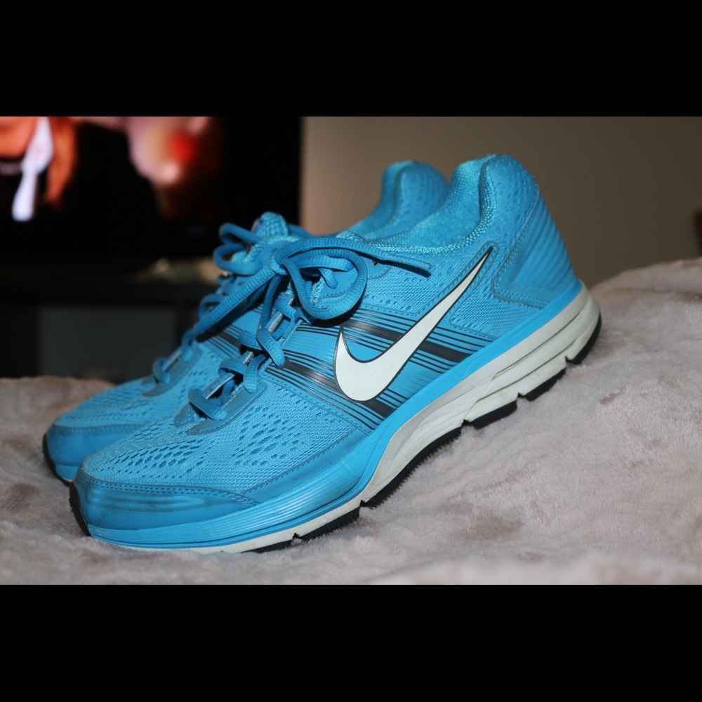 Nike Pegasus in Blue